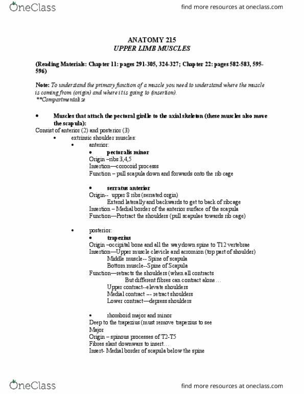 ANAT 215 Lecture Notes - Lecture 27: Bicipital Groove, Levator Scapulae Muscle, Serratus Anterior Muscle thumbnail