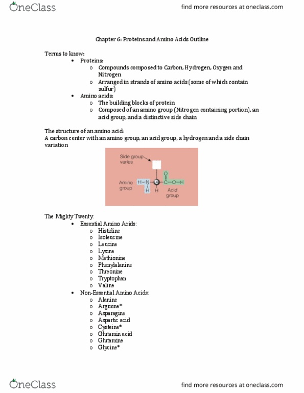 NSD 225 Lecture Notes - Lecture 5: Messenger Rna, Peptide Bond, Tripeptide thumbnail