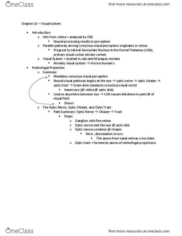 NSCI320 Chapter Notes - Chapter 10: Retinal Ganglion Cell, Optic Chiasm, Visual Cortex thumbnail