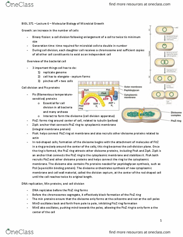 BIOL 371 Lecture Notes - Lecture 6: Minc, Integral Membrane Protein, Cell Membrane thumbnail