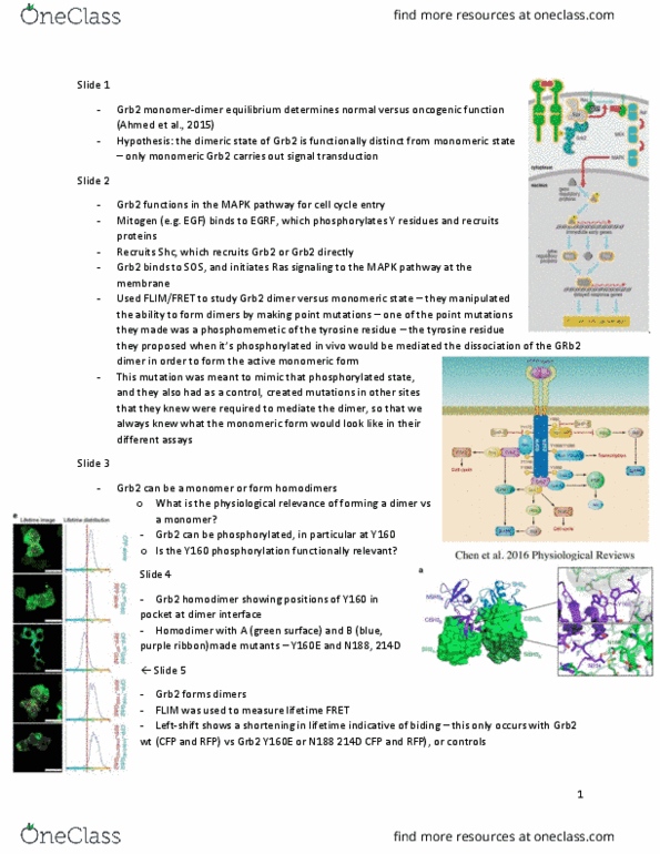 BIOL 467 Lecture Notes - Lecture 6: Grb2, Sos1, Prostate Cancer thumbnail