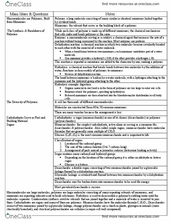 BSC 2010C Chapter Notes - Chapter 5: Dehydration Reaction, Covalent Bond, Hydrogen Bond thumbnail