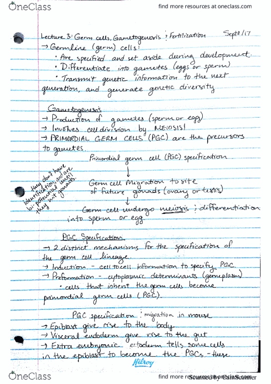 BIOL 3050 Lecture 3: Germ cells, gametogenesis & fertilization thumbnail