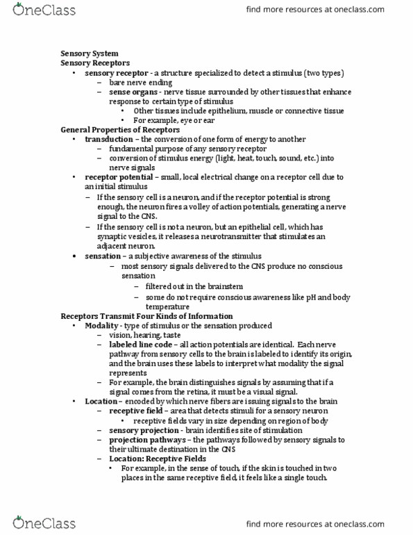 BIOL 1117 Lecture Notes - Lecture 5: Receptive Field, Sensory Neuron, Action Potential thumbnail