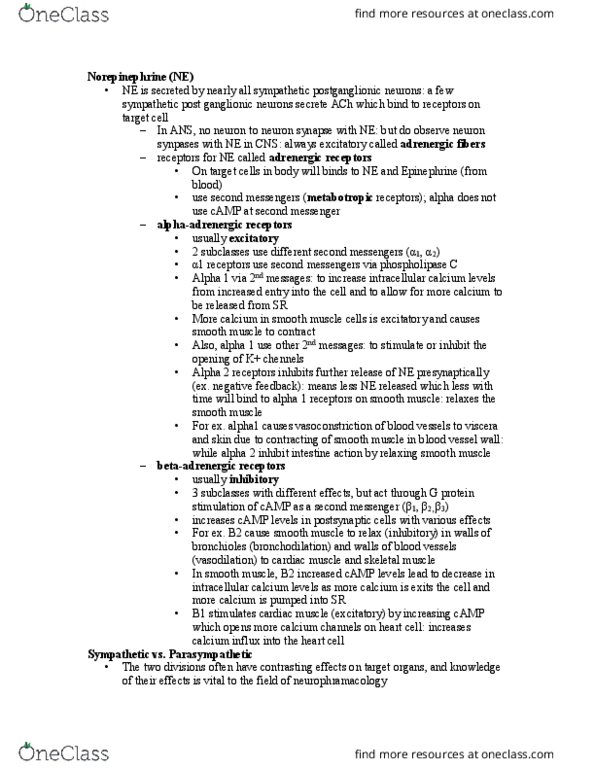 BIOL 1117 Lecture Notes - Lecture 4: Monoamine Oxidase, Neuropeptide Y, Cardiac Muscle thumbnail