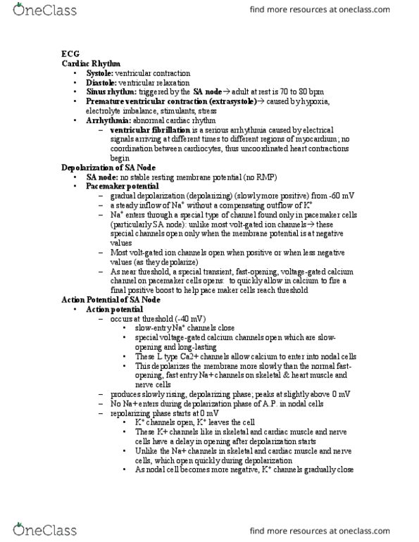 BIOL 1119 Lecture Notes - Lecture 6: Ventricular Fibrillation, Pacemaker Potential, Threshold Voltage thumbnail