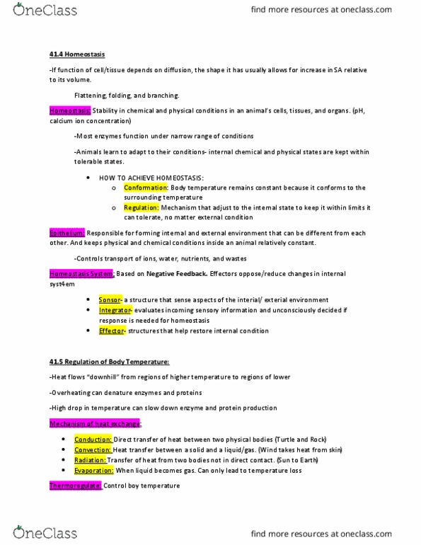 BISC 101 Chapter Notes - Chapter 41-46: Lingual Lipase, Gas Exchange, Frijid Pink thumbnail