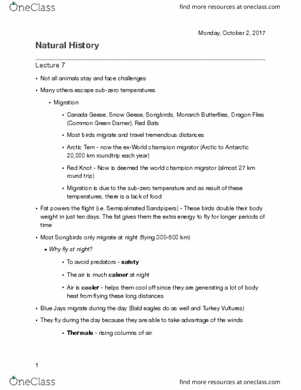 BIOL 1902 Lecture Notes - Lecture 7: Photosynthesis, Green Darner, Chlorophyll thumbnail