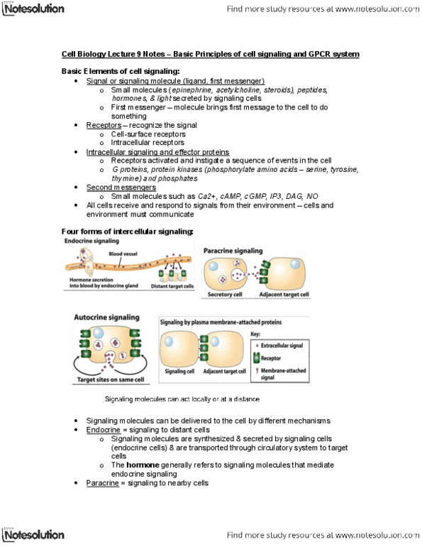 Biology 2382B Lecture Notes - Lecture 9: Gamma-Glutamyl Transpeptidase, Alpha Helix, Dna-Binding Domain thumbnail