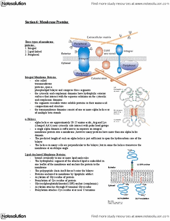 Biology 2382B Lecture Notes - Isoprene, Partition Coefficient, Translocon thumbnail