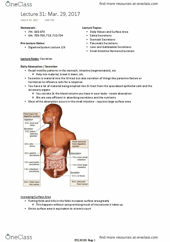 PSL301H1 Lecture Notes - Lecture 31: Gastrointestinal Tract, Cystic Fibrosis, Sublingual Gland thumbnail
