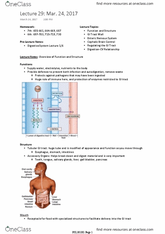 PSL301H1 Lecture Notes - Lecture 29: Lymph Node, Portal Vein, Salivary Gland thumbnail