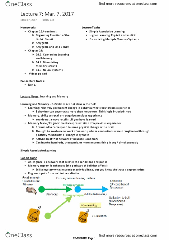 HMB200H1 Lecture Notes - Lecture 7: Auditory Cortex, Dishabituation, Unimodality thumbnail