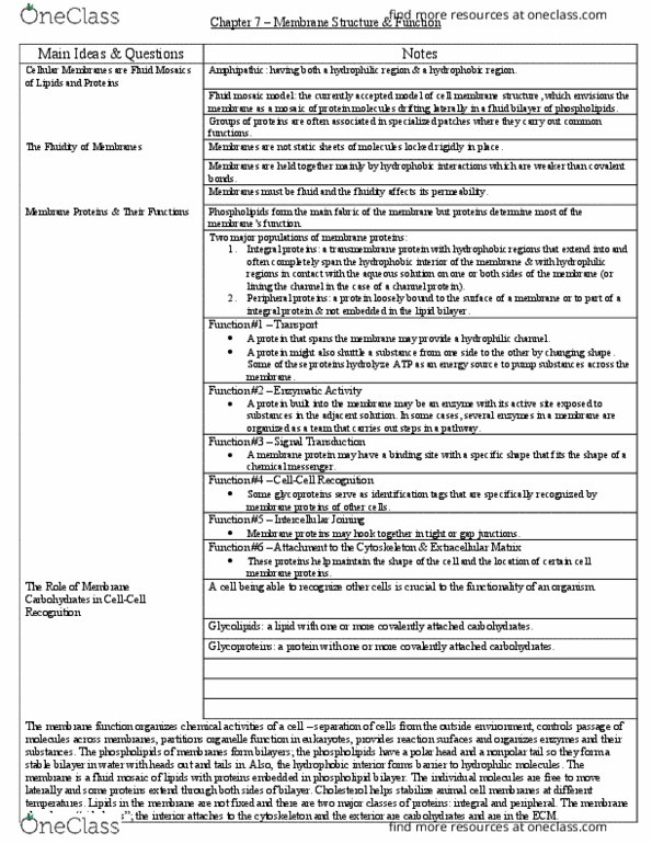 BSC 2010C Chapter Notes - Chapter 7: Spontaneous Process, Biological Membrane, Cholesterol thumbnail