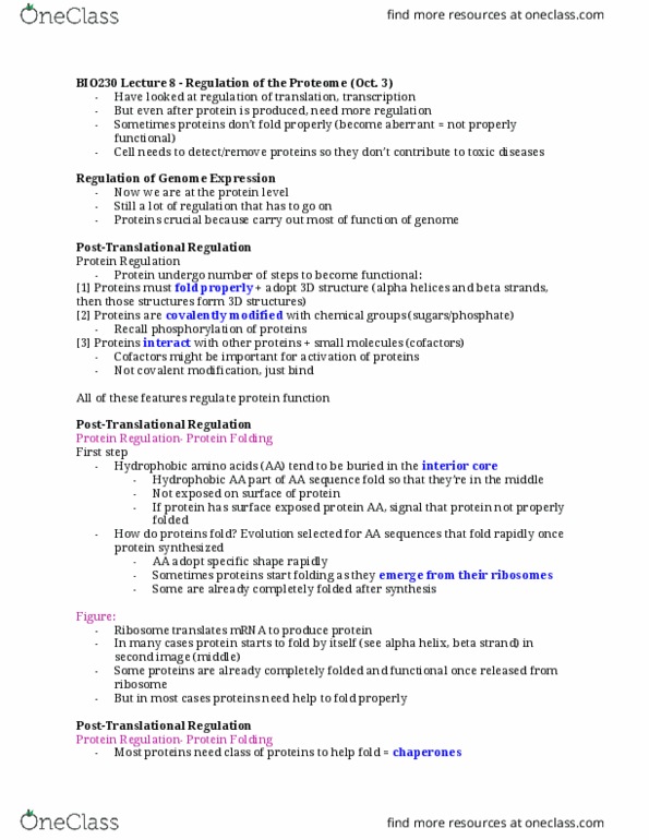 BIO230H1 Lecture Notes - Lecture 8: Stoma, Methylation, Lysine thumbnail