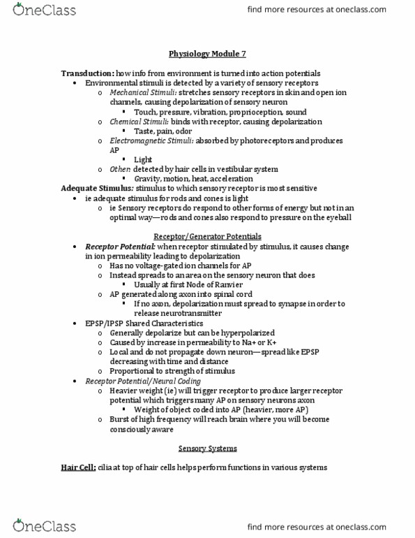 Physiology 2130 Lecture Notes - Lecture 7: Stapes, Vestibular System, Vestibular Duct thumbnail