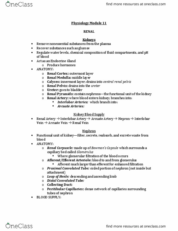 Physiology 2130 Lecture Notes - Lecture 11: Osmosis, Aquaporin, Proximal Tubule thumbnail