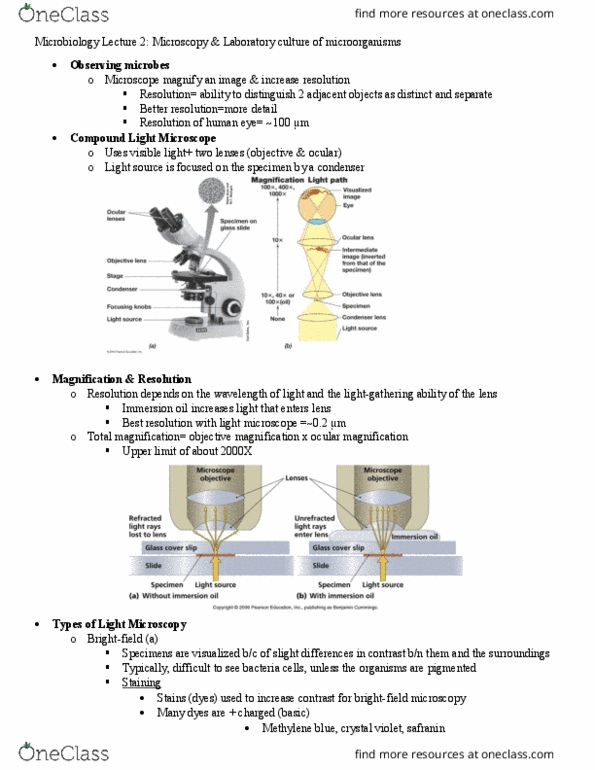 BIOL 2P98 Lecture Notes - Lecture 2: Yeast Extract, Nucleoid, Transmission Electron Microscopy thumbnail