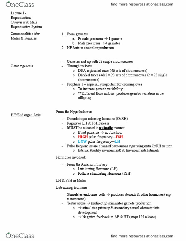 PSL300H1 Lecture Notes - Lecture 10: Arteriole, Flagellum, Puberty thumbnail