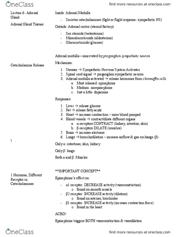 PSL300H1 Lecture Notes - Lecture 6: Pituitary Gland, Skeletal Muscle, Proopiomelanocortin thumbnail