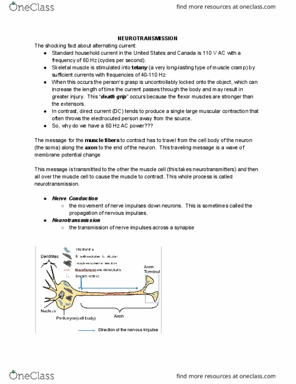 HTHSCI 1H06 Lecture Notes - Lecture 5: Discrete-Time Signal, Skeletal Muscle, Cardiac Muscle thumbnail