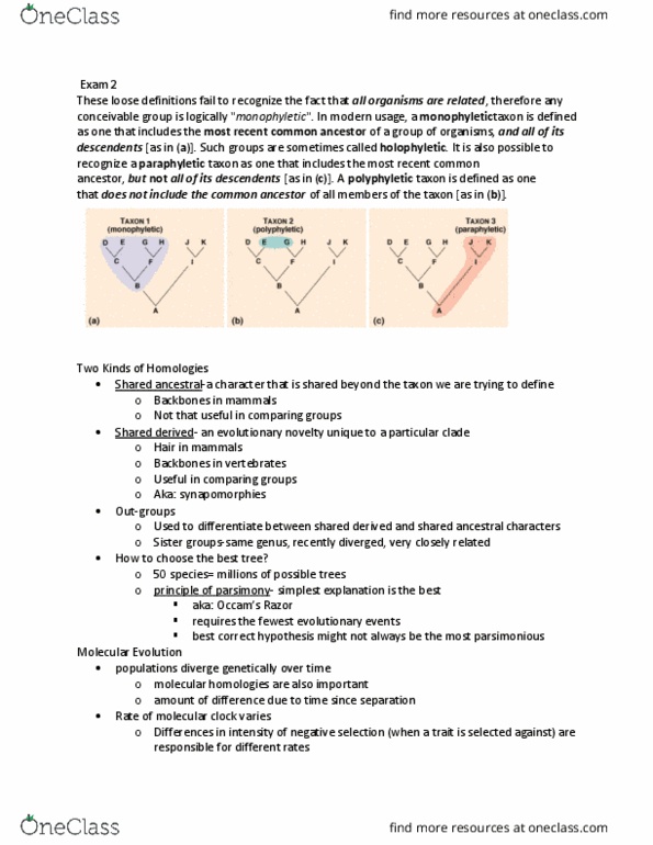 BIOL 152 Lecture Notes - Lecture 4: Proteobacteria, Anaerobic Respiration, Mitosis thumbnail