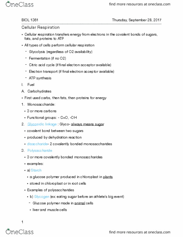 BIOL 1361 Lecture Notes - Lecture 10: Pyruvic Acid, Oxidative Phosphorylation, Riboflavin thumbnail