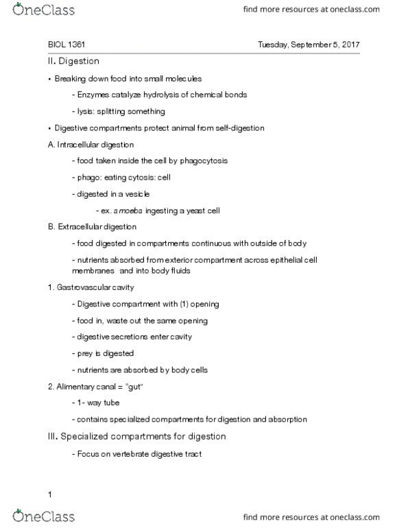 BIOL 1361 Lecture Notes - Lecture 3: Vitamin K, Intestinal Epithelium, Jejunum thumbnail