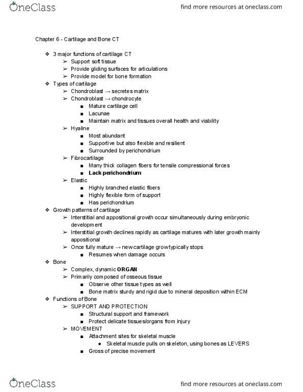 BIOL-3160 Lecture Notes - Lecture 6: Medullary Cavity, Sesamoid Bone, Dermal Bone thumbnail