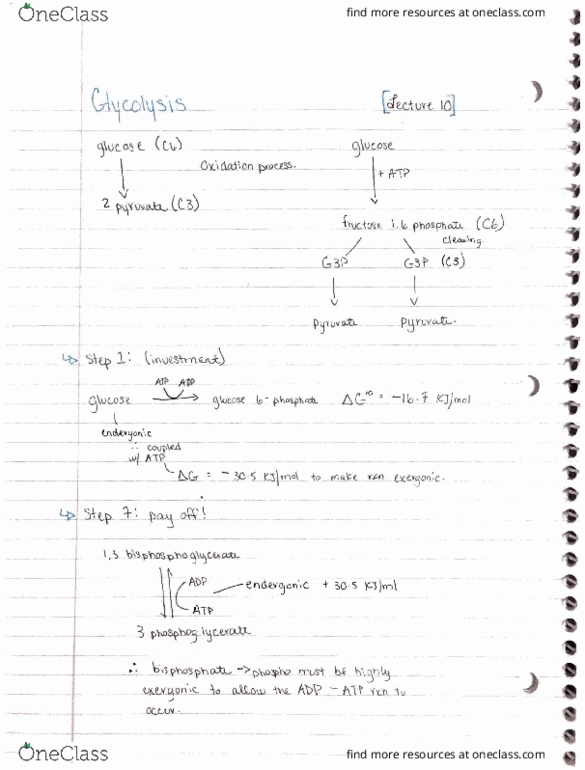 BIO 112 Lecture Notes - Lecture 10: Honorary Degree thumbnail