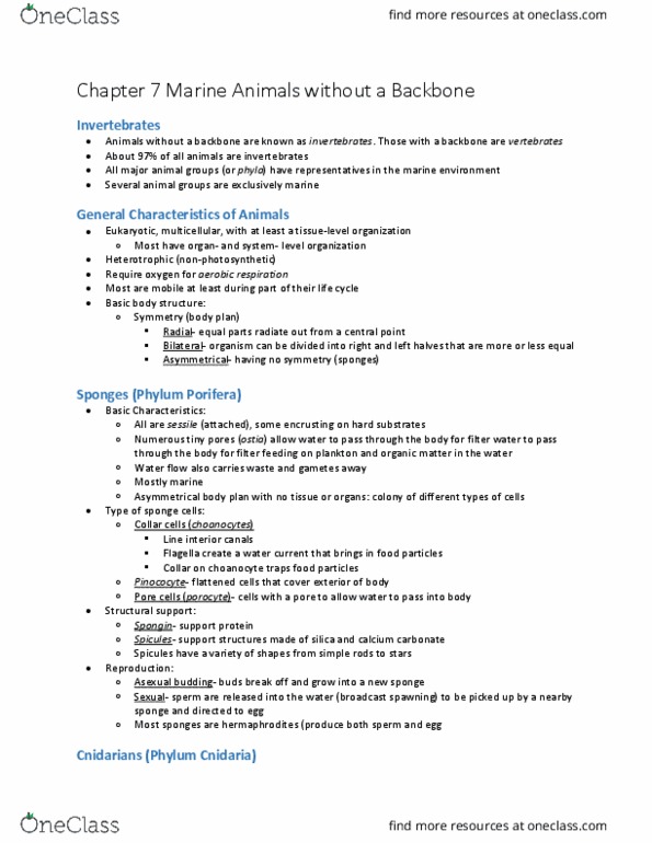 BIOL 1080 Lecture Notes - Lecture 11: Bryozoa, Parapodium, Acorn Worm thumbnail