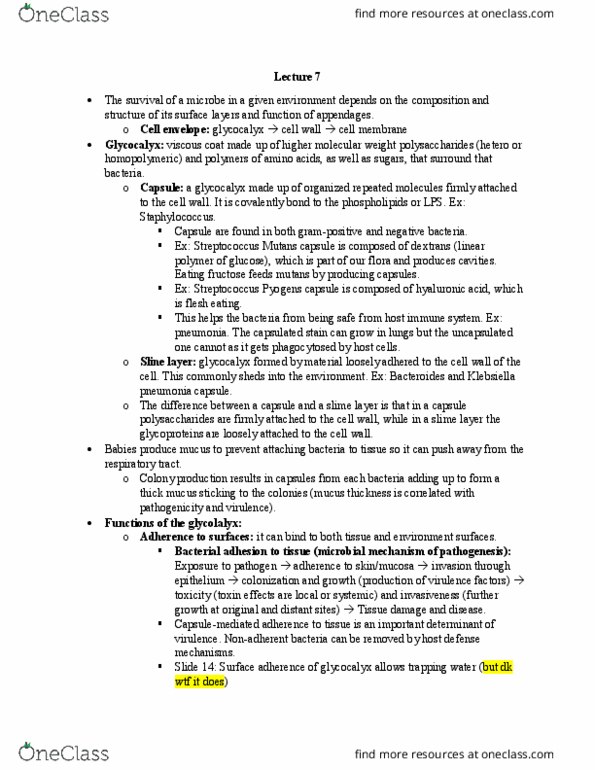 BIOC17H3 Lecture Notes - Lecture 7: Staphylokinase, Immunosuppression, Necrotizing Fasciitis thumbnail