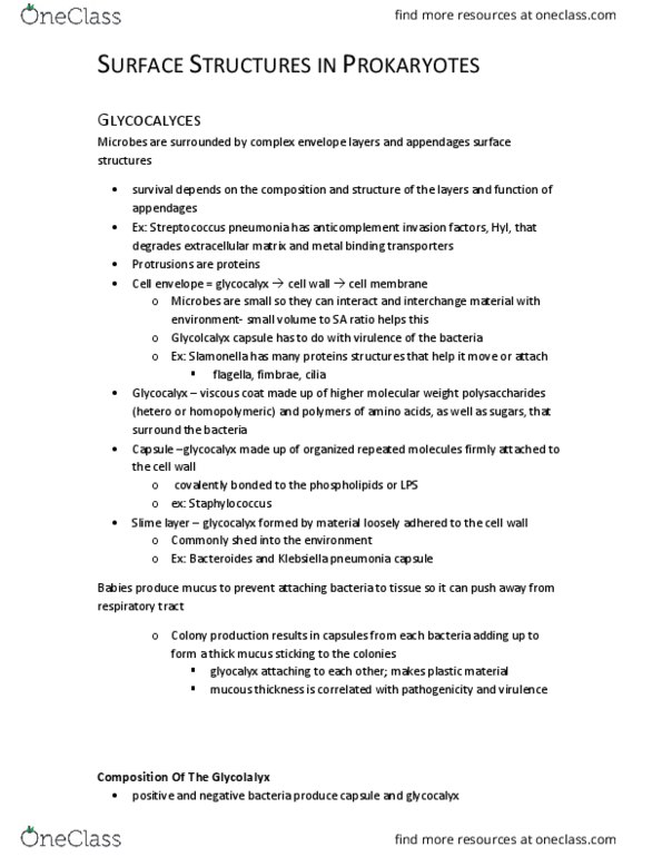 BIOC17H3 Lecture Notes - Lecture 7: Immunoglobulin G, Aureus, Complement Component 5A thumbnail