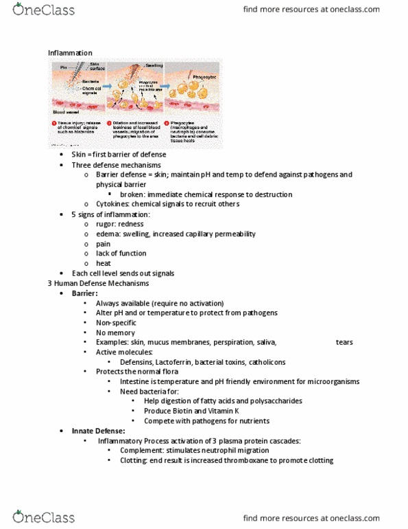 NURS 3220 Lecture Notes - Lecture 4: Wound Healing, Nociceptor, Glycerol thumbnail