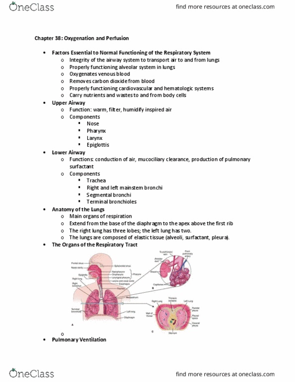NURS 3234 Lecture Notes - Lecture 7: Cardiac Arrhythmia, Tracheotomy, Chronic Obstructive Pulmonary Disease thumbnail