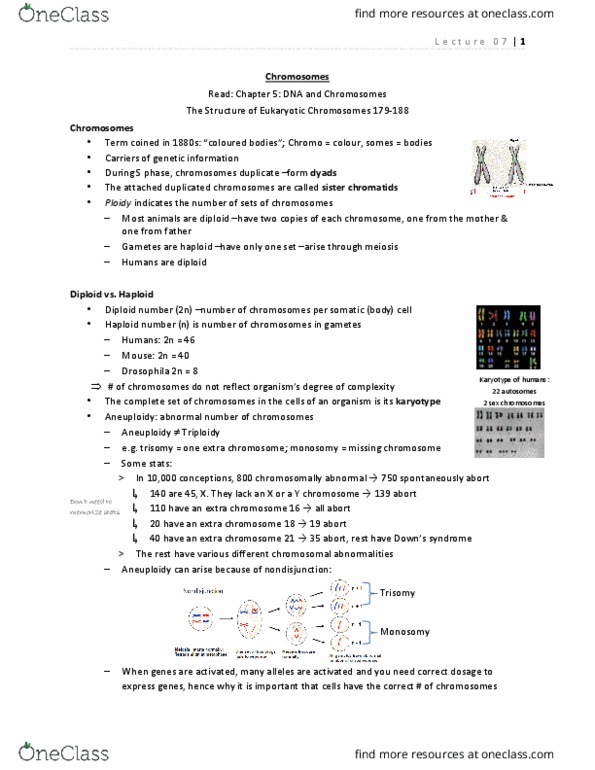 BIOL 2520 Lecture Notes - Lecture 7: Senescence, Minisatellite, Dna Profiling thumbnail