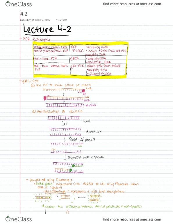 BIOE 206 Lecture 9: 4-2 Quantitative analysis of RNA, RNAi thumbnail