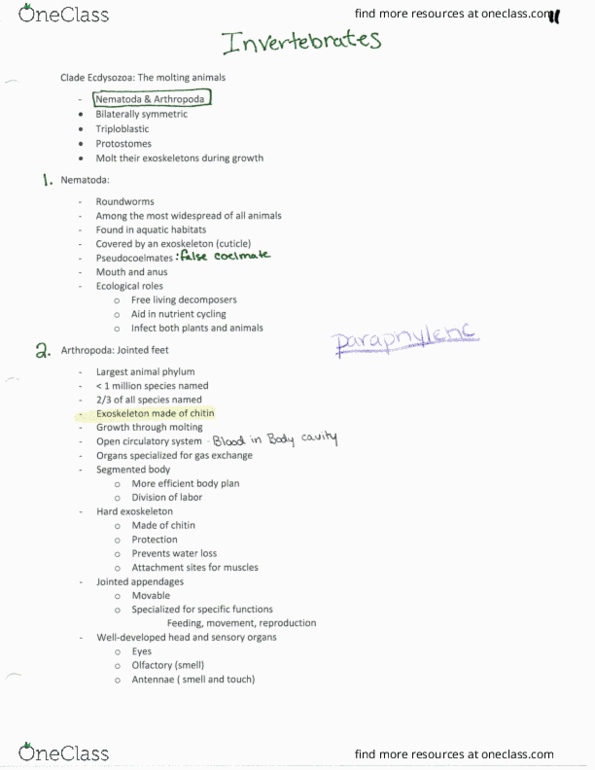 BIOL 211 Lecture Notes - Lecture 11: Nematode, Myriapoda, Arthropod thumbnail