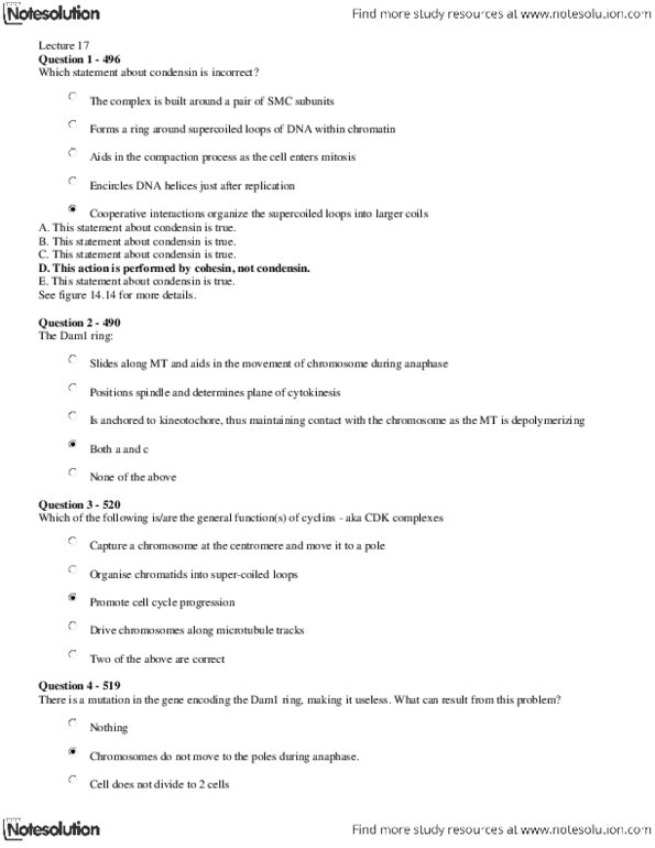 PSYC12H3 Lecture Notes - Lecture 17: Prometaphase, Centrosome, Sister Chromatids thumbnail