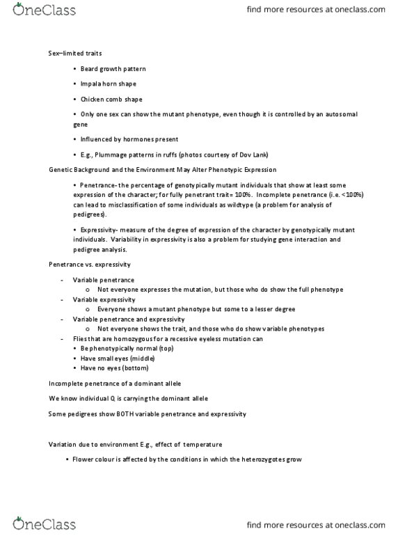 BISC 202 Lecture Notes - Lecture 11: Euchromatin, Heterochromatin, X-Inactivation thumbnail