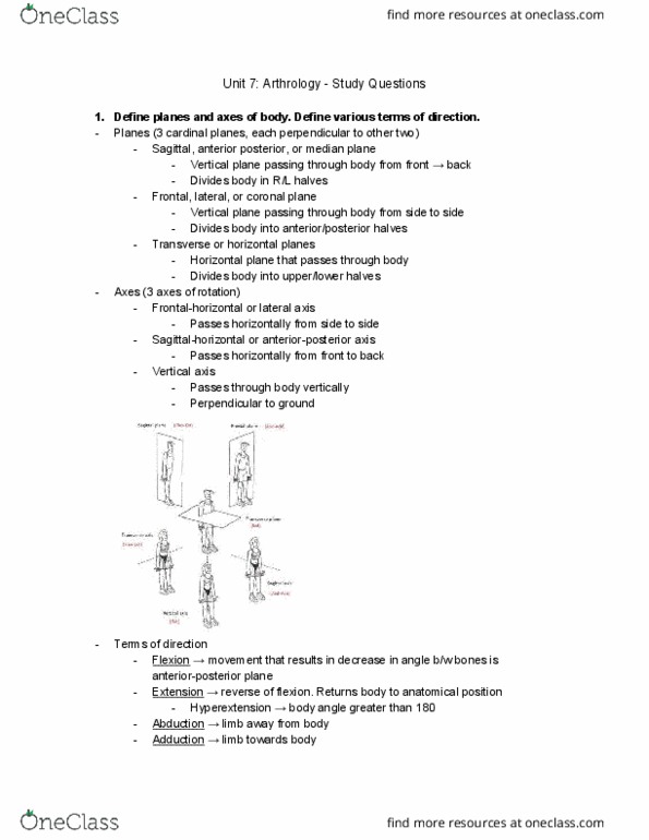 BPK 142 Chapter Notes - Chapter 7: Shock Absorber, Navicular Bone, Sesamoid Bone thumbnail