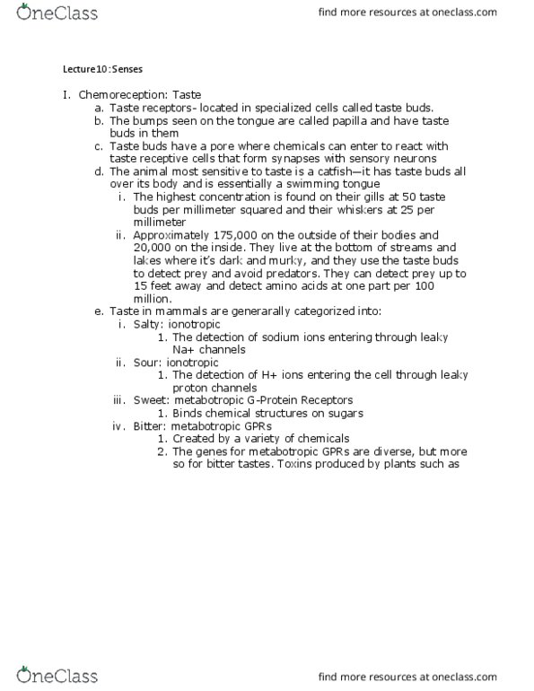 BISC 320 Lecture Notes - Lecture 10: Carotenoid, Noxious Stimulus, Circadian Rhythm thumbnail