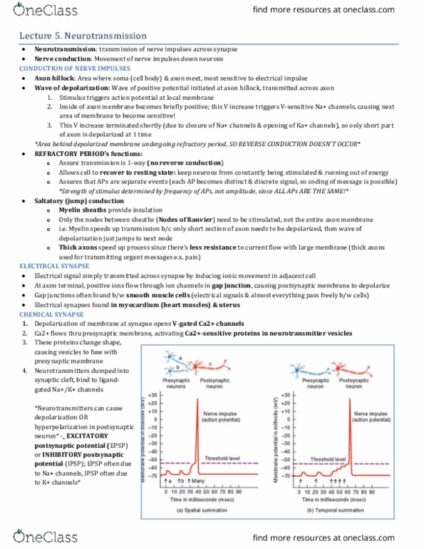 HTHSCI 2L03 Lecture Notes - Lecture 5: Monoamine Oxidase, Substance P, Tricyclic Antidepressant thumbnail