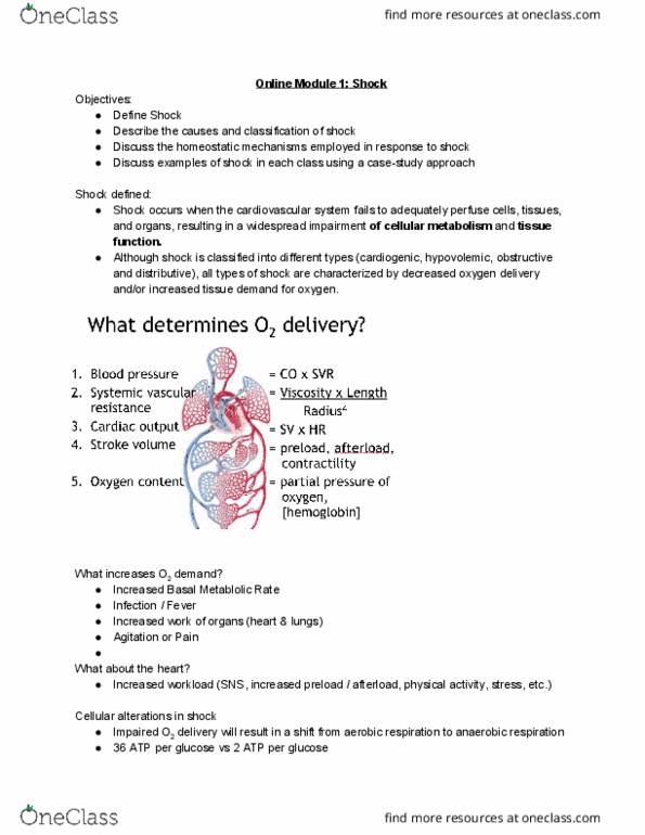 HTHSCI 1H06 Lecture Notes - Lecture 5: Carotid Sinus, Cardiopulmonary Resuscitation, Adrenal Medulla thumbnail