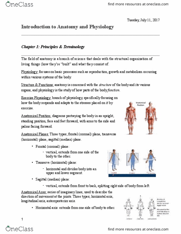 KINE 1P90 Lecture Notes - Lecture 1: Humerus, Parietal Bone, Carpal Bones thumbnail