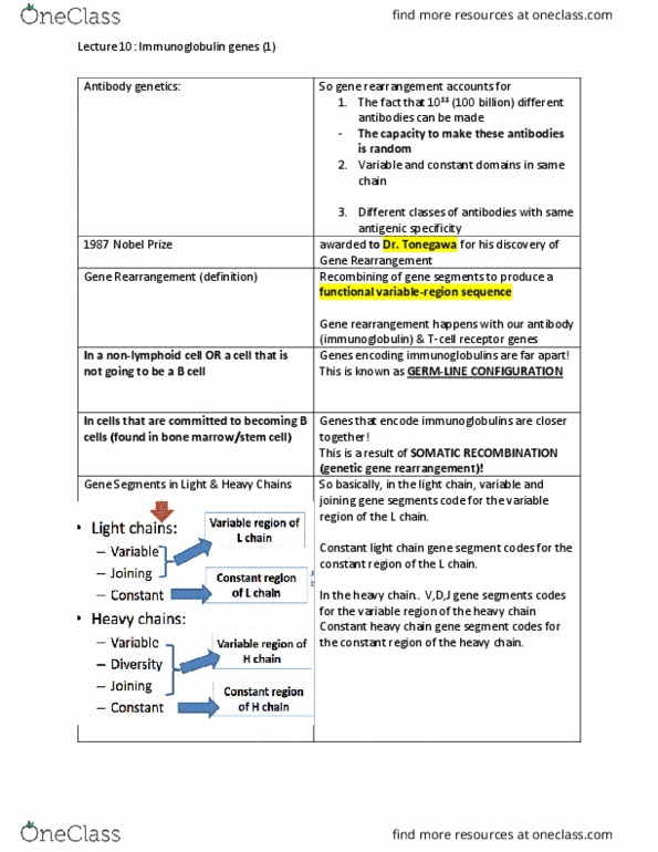 MICR 360 Lecture Notes - Lecture 10: Immunoglobulin G, Oligomer, Immunoglobulin E thumbnail