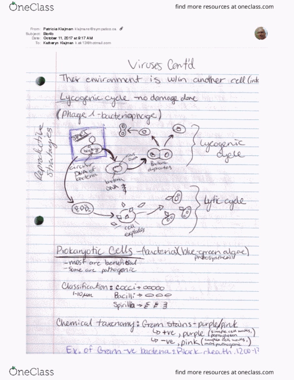 BIOL-1506EL Lecture 4: Bio4b - Viruses Cont'd thumbnail