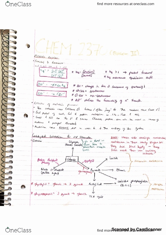 CHEM 2370 Lecture 1: Biochemistry 2 (CHEM 2370)- intro and glycolysis thumbnail