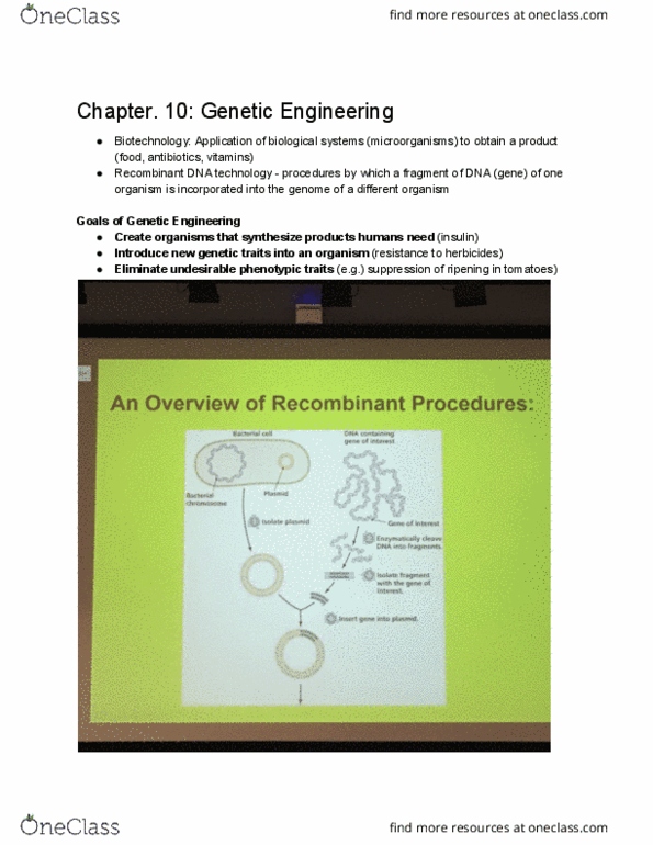 MCB 2000 Lecture Notes - Lecture 10: Pectin, Agarose Gel Electrophoresis, Restriction Enzyme thumbnail