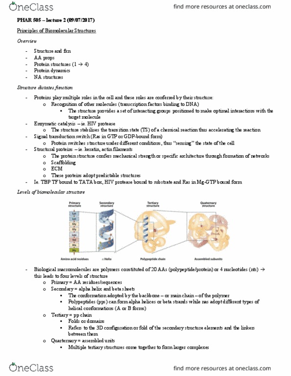 PHAR 505 Lecture Notes - Lecture 2: Cell Nucleus, Acylation, Beta Barrel thumbnail